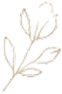 Floral Art
