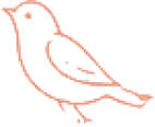 Sparrow